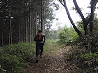 軽井沢近郊でトレイルランニングコースガイド 山、森の中を駆け抜ける！