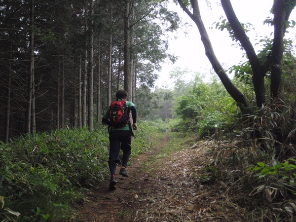 山や森の中を走ってみよう！トレイルランニング､ハイキング､ウォーキング〜高崎群馬:軽井沢:関東